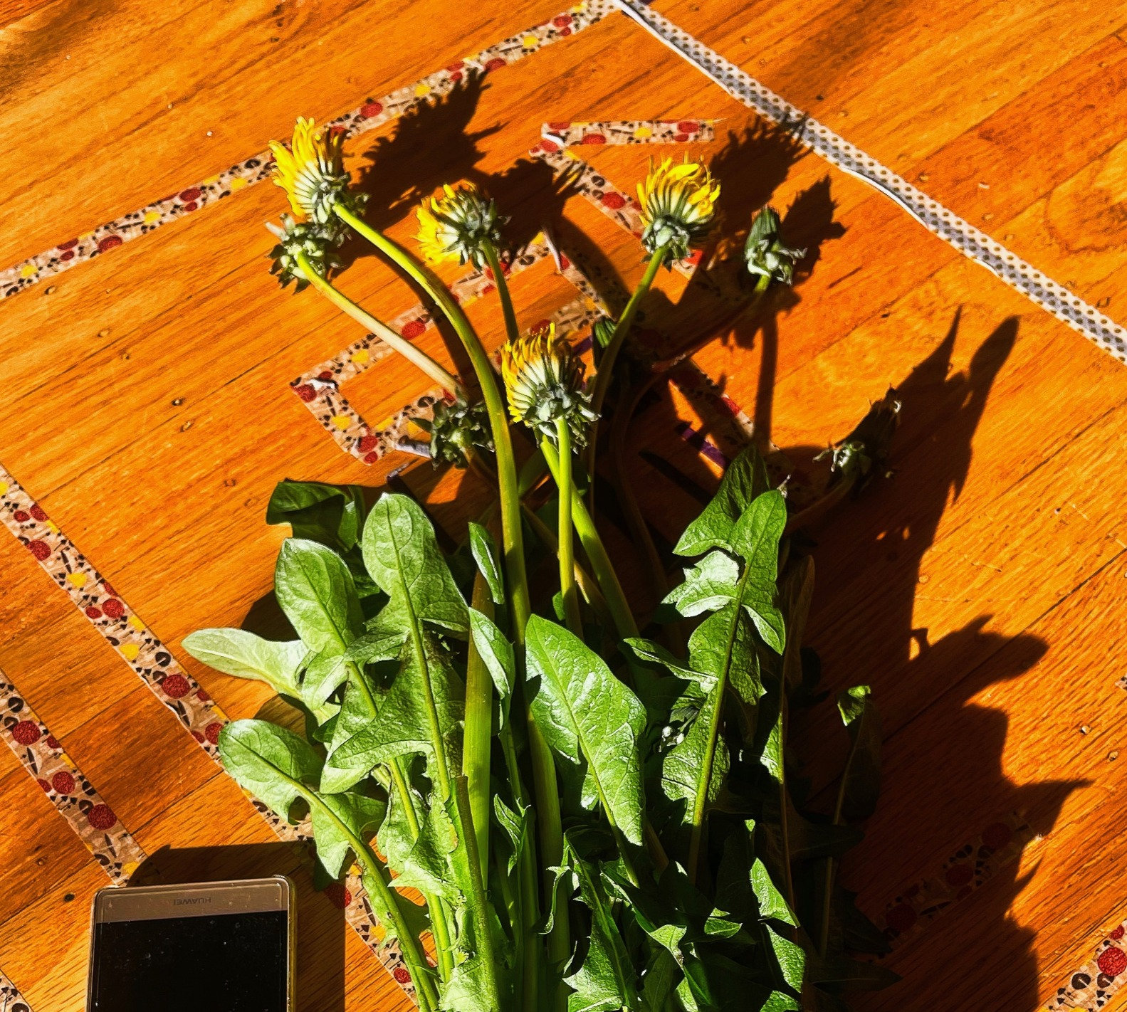 Spring